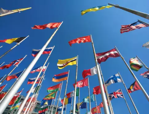 Les Perspectives de Carrière après un BTS Commerce International