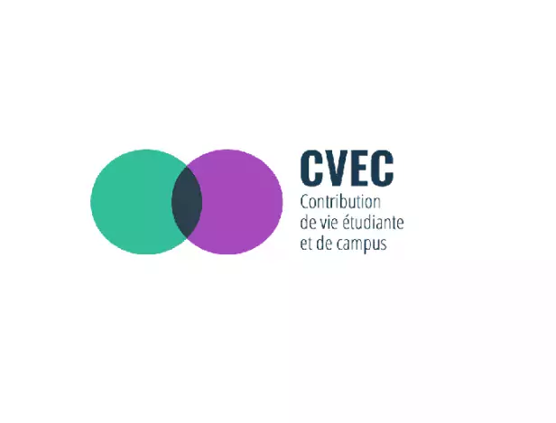 CVEC-2019-Article