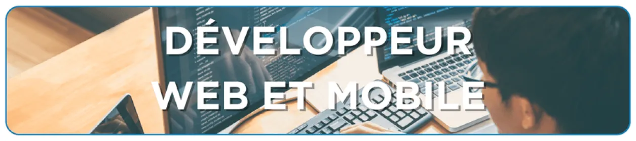 metier-developpeur-web-et-mobile-bachelor-informatique-aftec